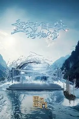 国家宝藏 第四季封面图