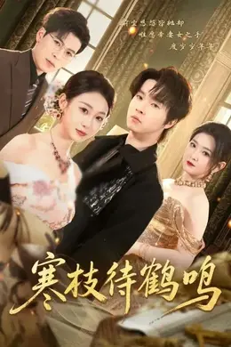 寒枝待鹤鸣海报图片