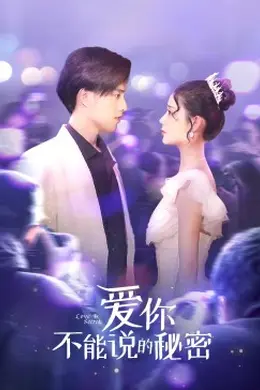 爱你不能说的秘密封面图