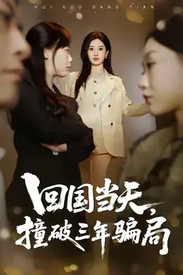 回国当天，撞破三年骗局海报图片