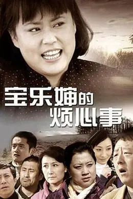宝乐婶的烦心事封面图
