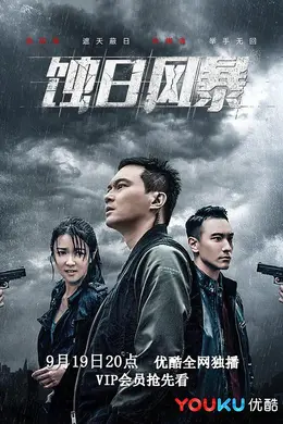 蚀日风暴封面图