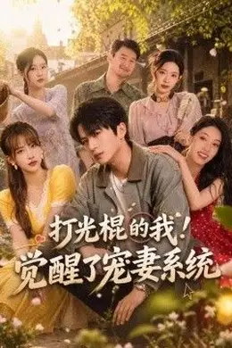 打光棍的我！觉醒了宠妻系统封面图