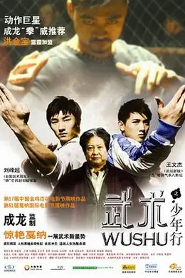 武术之少年行封面图