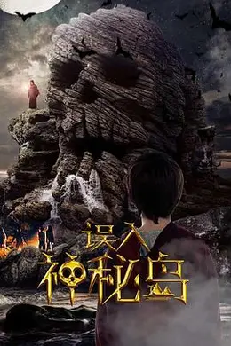 误入神秘岛封面图