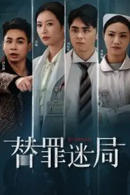 替罪迷局海报图片