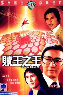 贼王之王封面图