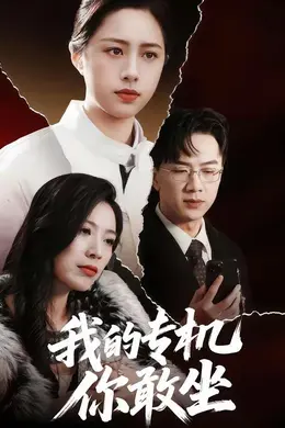 我的专机你敢坐海报图片