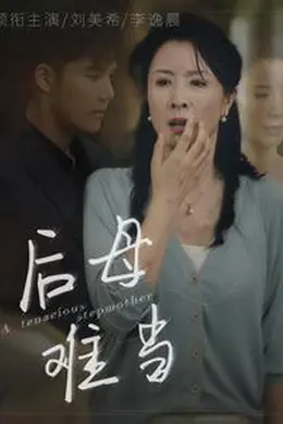 后母难当海报图片