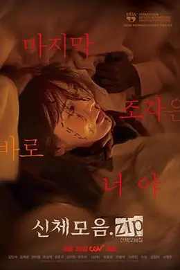 身体集合封面图