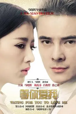 等你爱我封面图