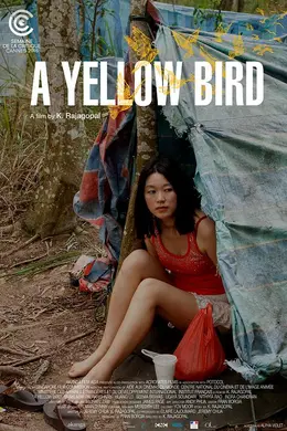 一只黄鸟封面图