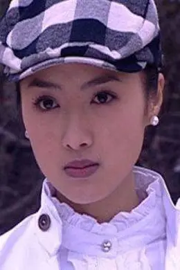 宝石迷踪封面图