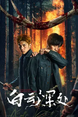 白云深处封面图