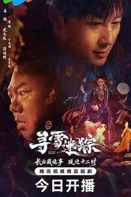 寻雪迷踪海报图片