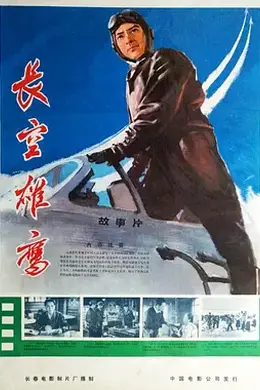 长空雄鹰封面图