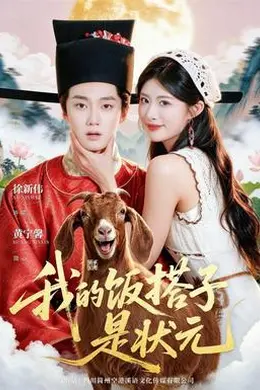 我的饭搭子是状元封面图