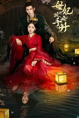 母妃攻略手册海报图片