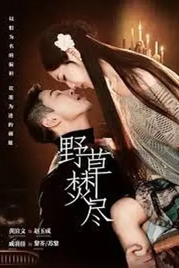 野草焚尽封面图