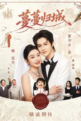 蔓蔓归城封面图