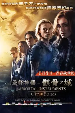 圣杯神器：骸骨之城封面图