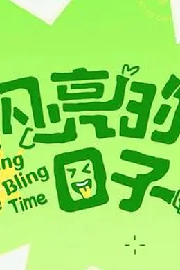 闪亮的日子第五季封面图