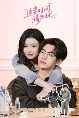 追妻时间请勿扰封面图