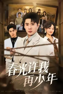 春光许我再少年海报图片