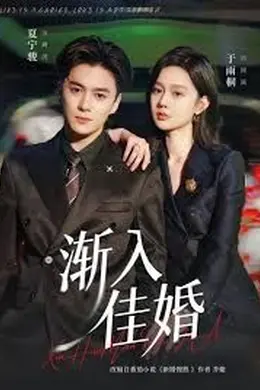 渐入佳婚第一部封面图