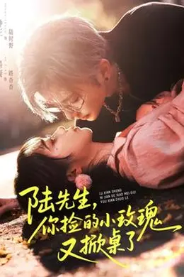 陆先生，你捡的小玫瑰又掀桌了封面图