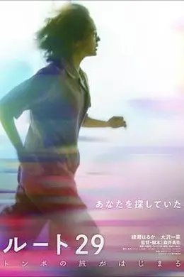 国道29号封面图