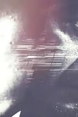 非常搭档封面图