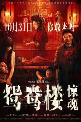 鸳鸯楼惊魂封面图