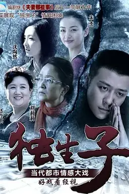 独生子 (2013)封面图