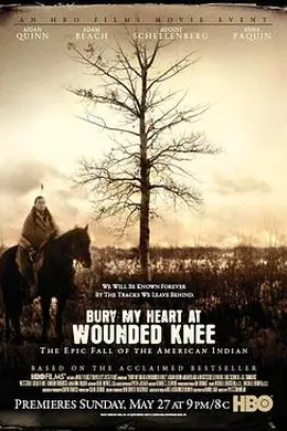 魂归伤膝谷封面图