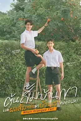 当橘子掉落时海报图片