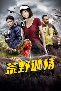 荒野谜情封面图