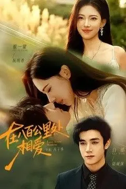 在八百公里处相爱海报图片