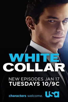 妙贼警探第四季封面图