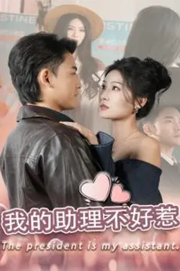 我的助理不好惹海报图片