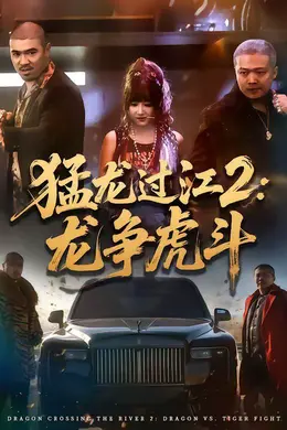 猛龙过江2：龙争虎斗封面图