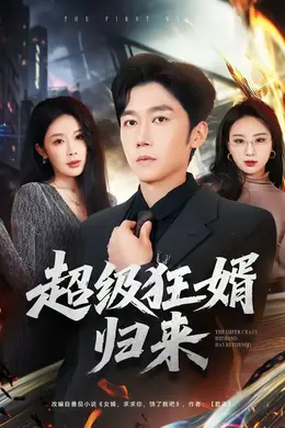 超级狂婿归来封面图