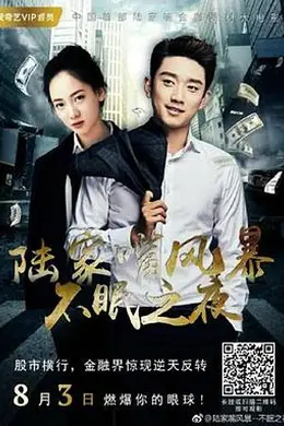 陆家嘴风暴：不眠之夜封面图