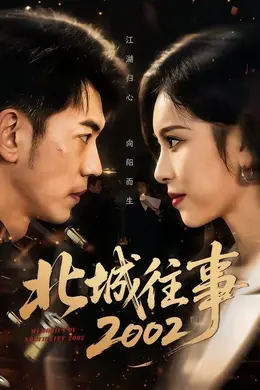北城往事2002封面图