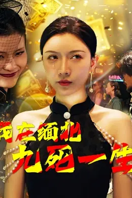 我在缅北九死一生海报图片