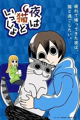 关于养猫我一直是新手海报图片