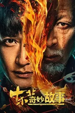 东北奇妙故事海报图片