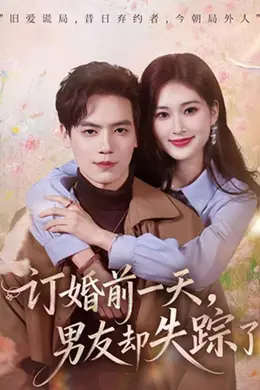 订婚前一天，男友却失踪了封面图