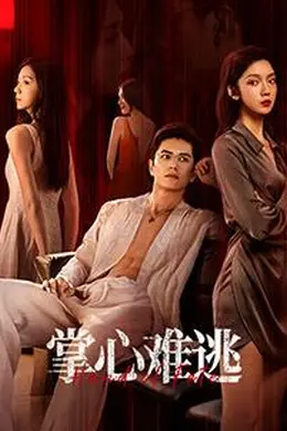 掌心难逃封面图