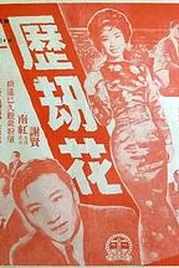 历劫花粤语封面图